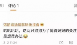 娱乐圈吃瓜食品,揭秘明星们的“吃瓜”生活