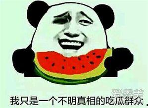 网上流行吃瓜是什么意思,吃瓜背后的文化现象与社交心理